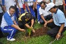 Penanaman Pohon di Serangan